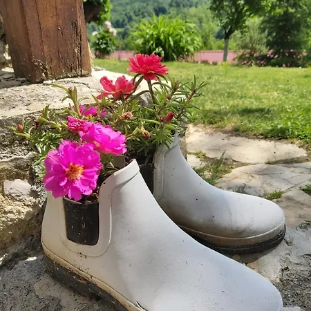 Appartement Eko Imanje Sunce, Rudnik Gornji Milanovac